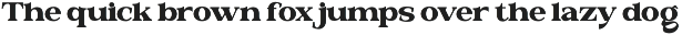 Valloria - Family Serif Font preview