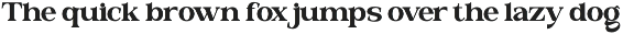 Valloria - Family Serif Font preview