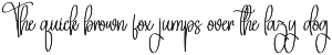 Birmigham Signature | Script Font preview