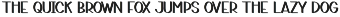 Company | Script Font preview