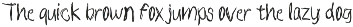 Solaya – Dual-Style Tropical Font preview