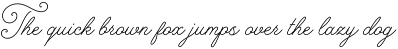 Amoretta Script preview