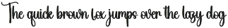 Solitude | Script Font preview