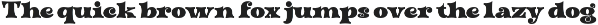 Dileno - Horor Bold Serif Font preview