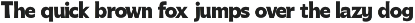 Radiora – Bold Retro Font preview
