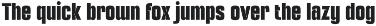 Premium Fonts Collection preview