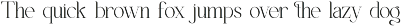 Qioner || Modern Minimalist Serif preview