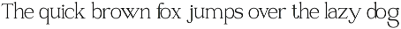 Raveny Modern Elegant Serif preview