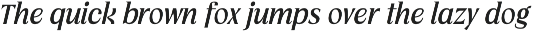Vogera Minimal Editorial Serif preview
