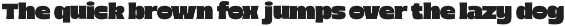Wister - Bold Font preview
