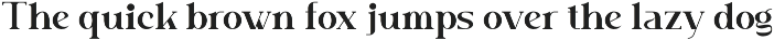Heterogent - Premium Serif Font preview