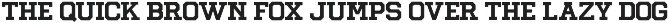 Borgard – Varsity Slab Serif Font preview