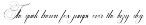 Brilliani Script Pro preview