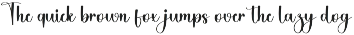Stylish Handwritten preview