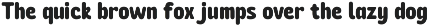 Biorne - Display Rounded Typeface preview