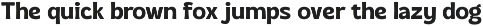 Agesia - Display Font Duo preview
