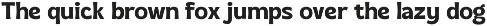 Agesia - Display Font Duo preview