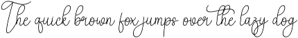 Amsterdam | Script Font preview