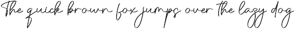 Delightful | Script Font preview