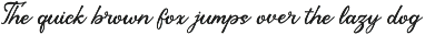 Record Struggle | Hand Drawn Script preview