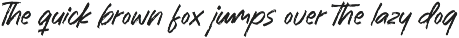 Rashing Skystand Handwritten Brush preview