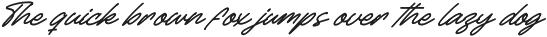 Betany Salena Monoline Brush Font preview