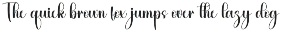 Quirky Rabbit preview