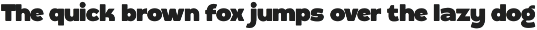 Not Beast - Vintage Bold Font preview