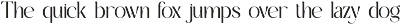 Qarine || Modern Classy Sans Serif preview