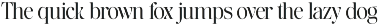 The Ethicly preview