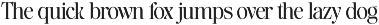 The Ethicly preview