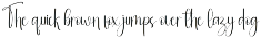 Cinematic preview
