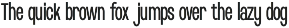 Raurus Condensed Display Family Font preview