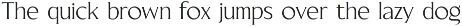Blackney Font Family preview