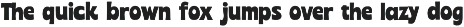 Vintage Script & Sans Bold Font Duo preview