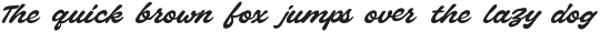 Vintage Script & Sans Bold Font Duo preview