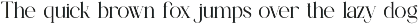 Verune || Modern Minimalist Serif preview