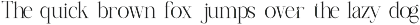 Delosta || Modern Minimalist Serif preview
