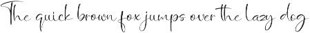 Wedding Bliss - Romantic Handwritten preview