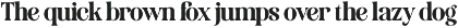 Amerta Elegant Serif Font preview