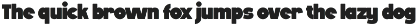 Canes Bold Display Typeface preview