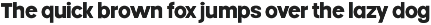 Moninger Geometric Sans Serif preview