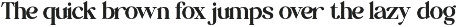 The Cherine | Modern Retro Serif font preview