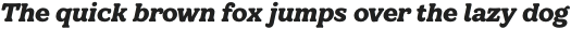 TT Bakers ExtraBold Italic otf (700) Sample