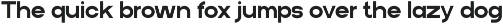 Borela - A Modern Sans Font preview