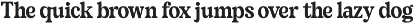 Sayin Cherik Vintage Serif Font preview