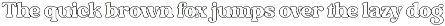 Radvin – Bold Retro Display Font preview