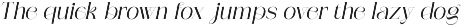 Bastion Serif - Modern Elegant Font preview