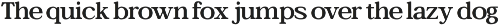 Bagiora - Chunky Foodie Serif Font preview