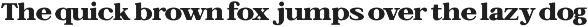 Bagiora - Chunky Foodie Serif Font preview